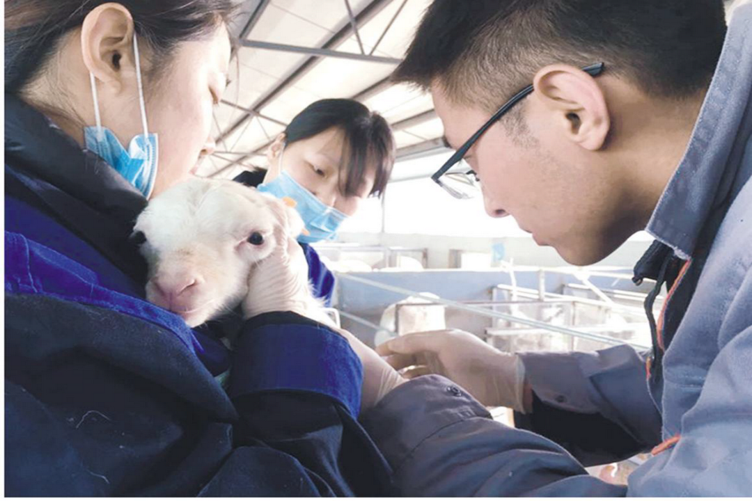 當(dāng)好產(chǎn)業(yè)扶貧主力軍，打贏脫貧攻堅戰(zhàn)